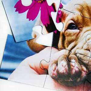 Puzzle 12 XXL - 6600.00 Ft