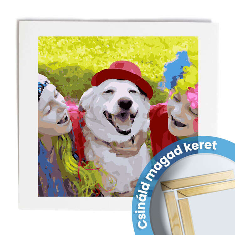Festés számok szerint 50x50-DIY Keret